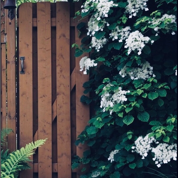 Meet your Posher, Bekah - Picture 1 of 1